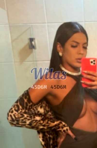 Escort 61878400 - Travesti en San José