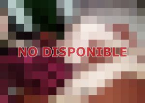 Escort 72317422, Travesti en Tibás
