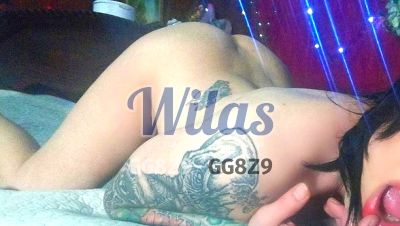 Catalina 64769183 - Travesti en San José
