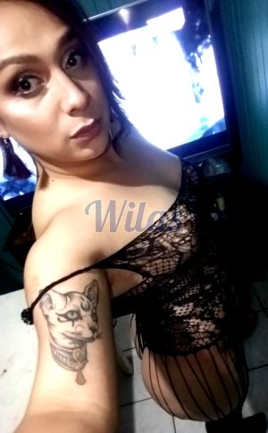 Escort 70478798, Transexual en San José