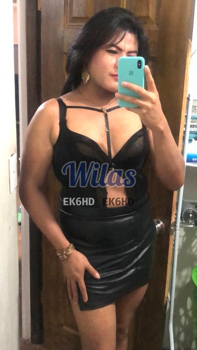 Daniela 85207103, transexual en San José