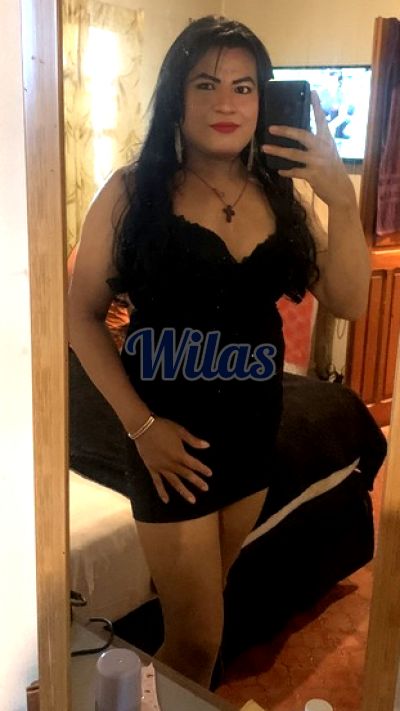 Daniela 85207103, Transexual en San José