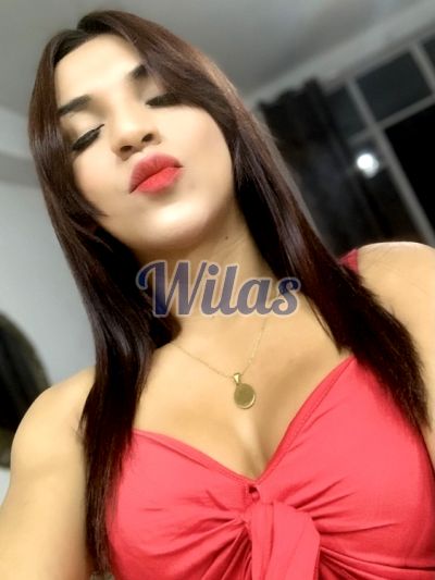 Denisse, Shemale en San José