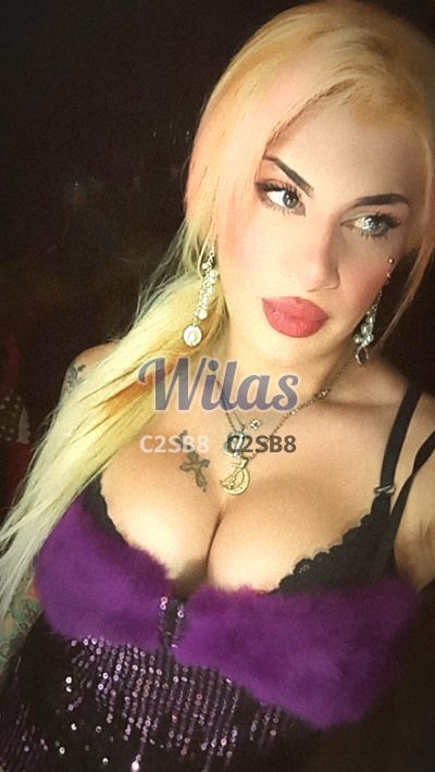 Catalina Santana 62329228, Shemale en San José