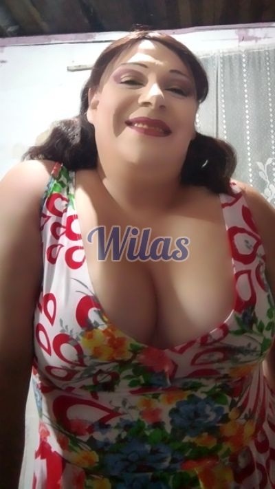Susana Madrigal 63890301, Shemale en Desamparados