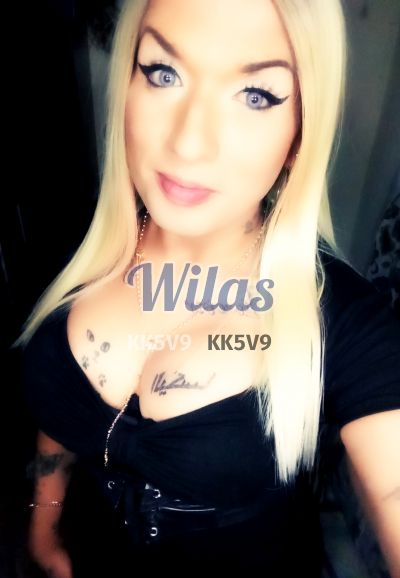 Alexa 62244049, travesti en Desamparados