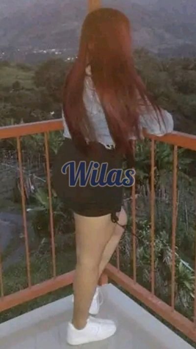 www.wilas.com
