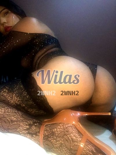 Nikol 72185240, transexual en San José