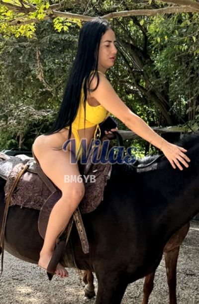 Alondra 62981577, Escort en Curridabat