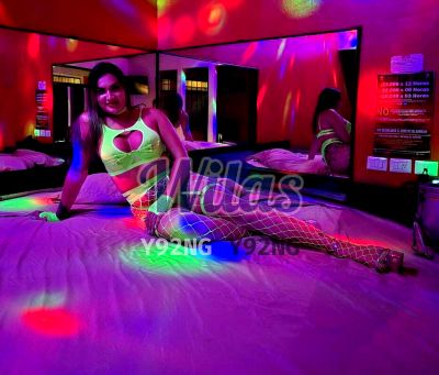 La gata caliente, travesti en Desamparados