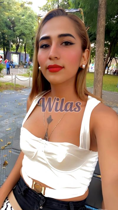Briany 71379841, Shemale en San José