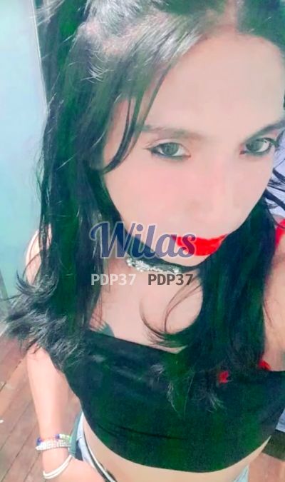 Shirley pahola, transexual en San José de Alajuela