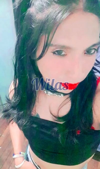 Shirley pahola 60739522, Transexual en San José de Alajuela
