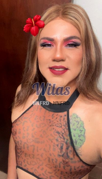 Sharline 70104642, transexual en San José