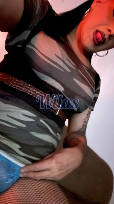 Escort 60425654, trans en San Sebastián (San José)