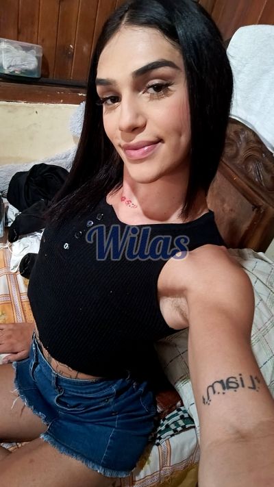 Camila Zeledón 70077930, travesti en San José