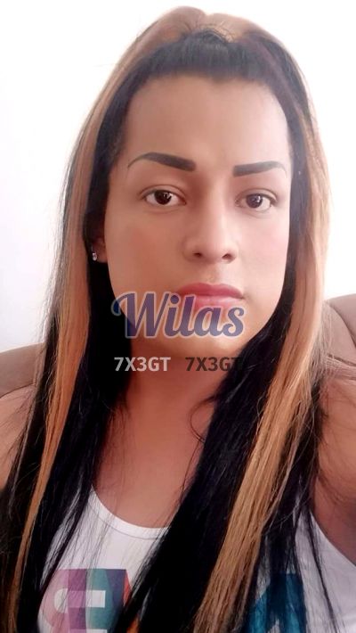 Shannell 60467609, shemale en San José de Alajuela