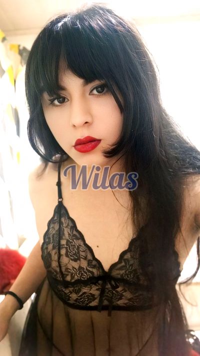 Evans 84822796, transexual en San José
